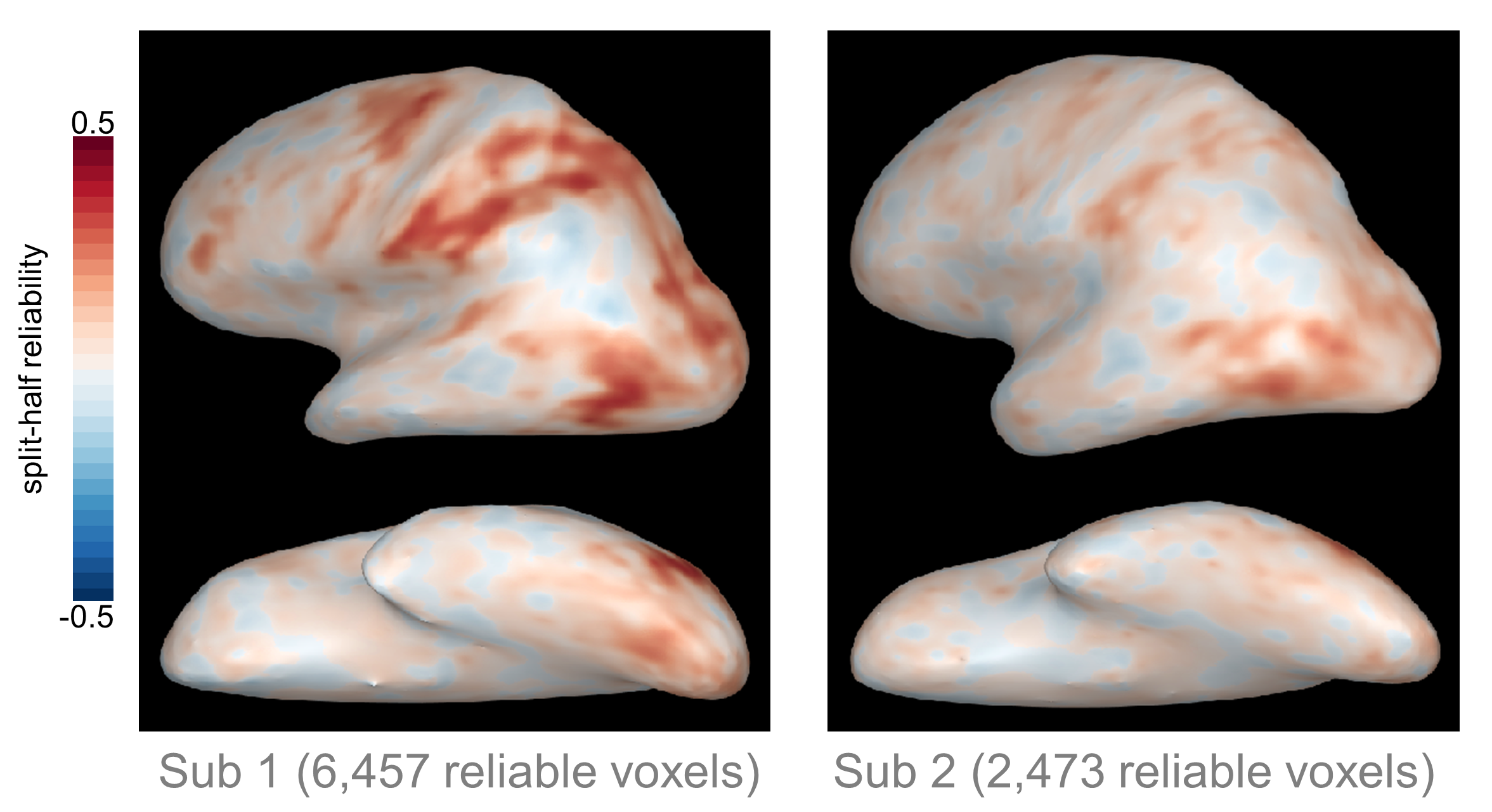 Figure 1: Inter-Subject Variations in Reliability